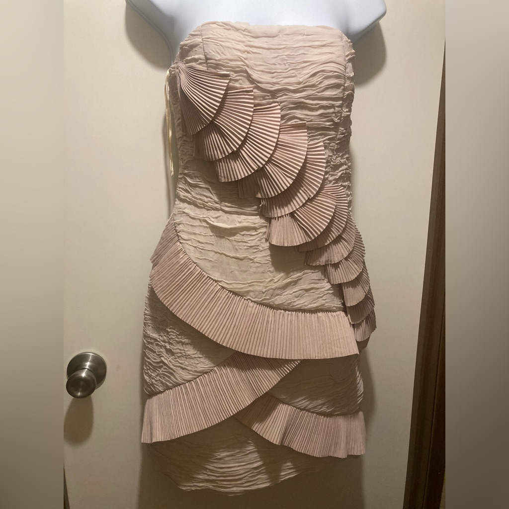 Runway Couture Asymmetrical Ruffle Dress In Blush